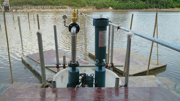 沉水式鼓草莓视频黄版APP下载