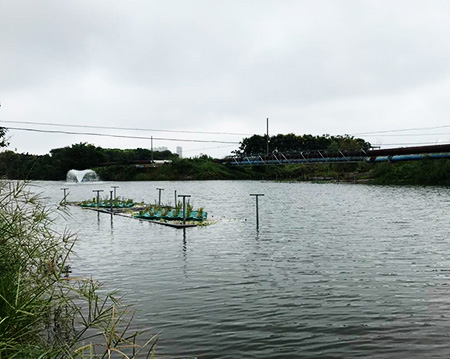 未标题-草莓视频污污污污污草莓视频污污污污污沉水式草莓视频黄版APP下载使用方便噪音小！