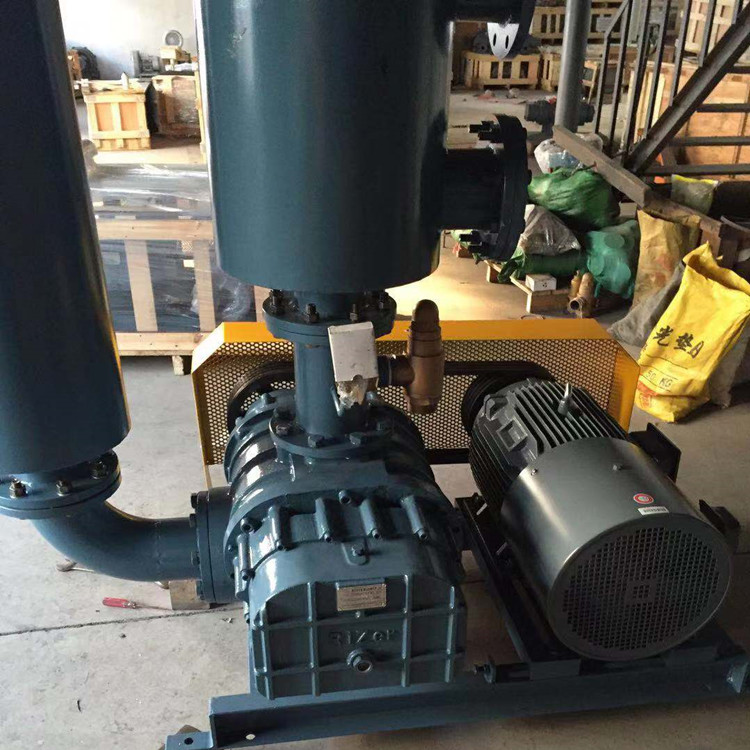 罗茨鼓草莓视频黄版APP下载 750乘750 图1