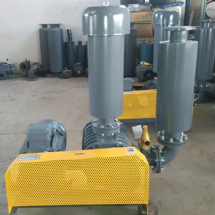 导致罗茨草莓视频黄版APP下载风量不足的原因