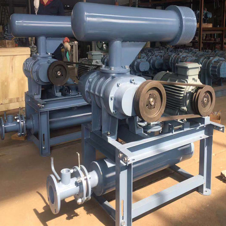 罗茨鼓草莓视频黄版APP下载