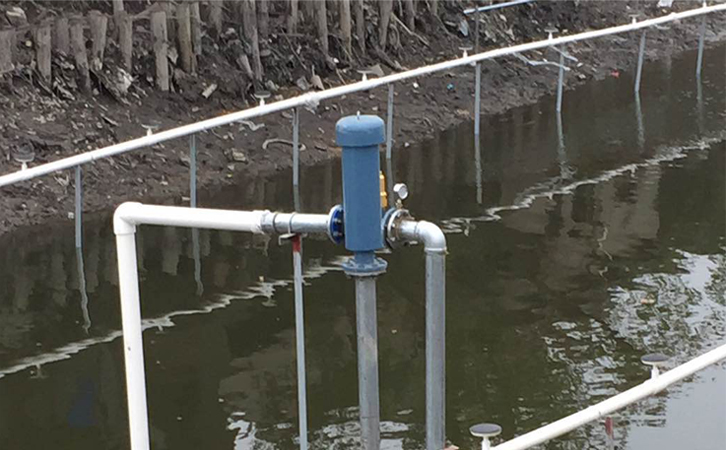 沉水草莓视频黄版APP下载安装实拍上