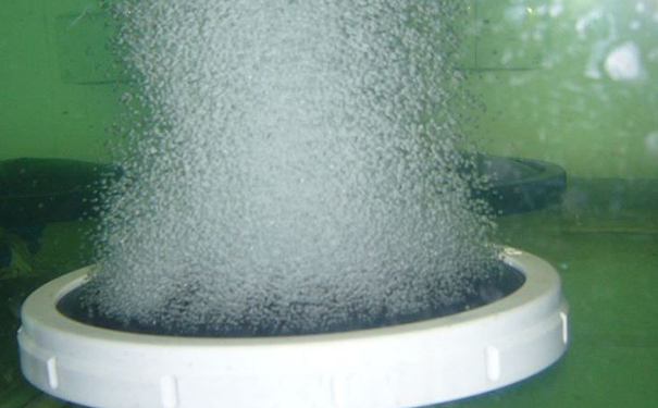 曝气草莓视频黄版APP下载的作用