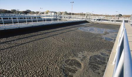 草莓视频黄版下载大全曝气