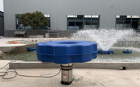 草莓视频污污污污污1